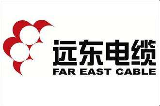 鎮江遠東電線